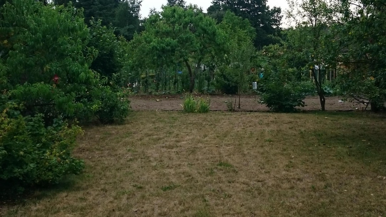 Photo of Outdoor in Dammarie-en-Puisaye