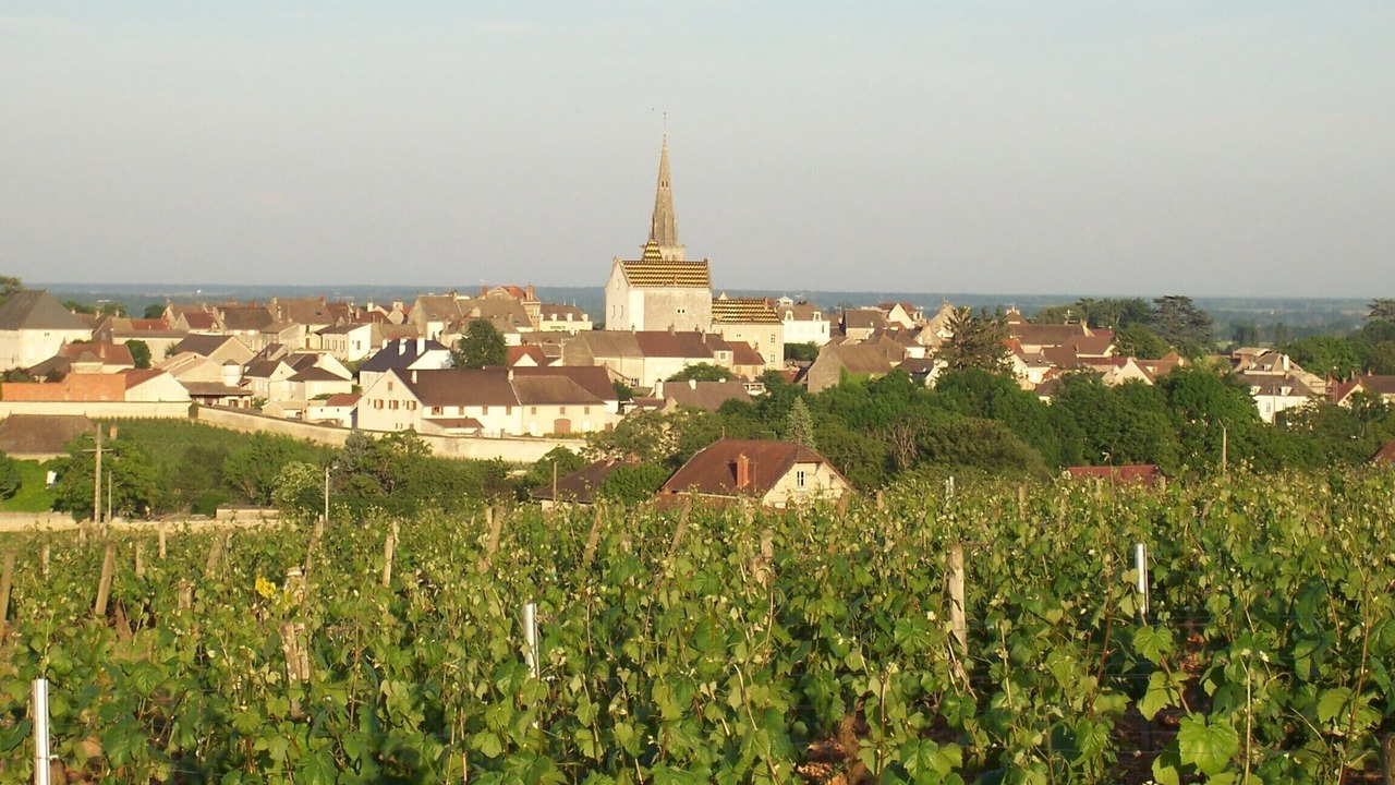 Photo of Others in Meursault