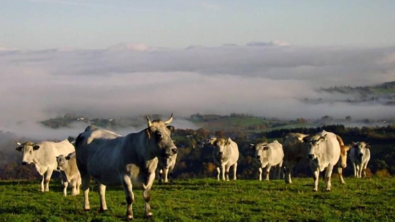 Photo of Outdoor in Riverenert