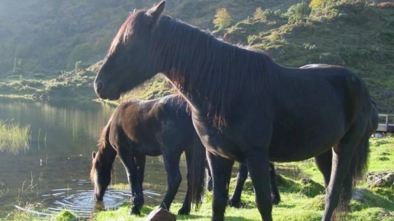 Photo of Others in Riverenert