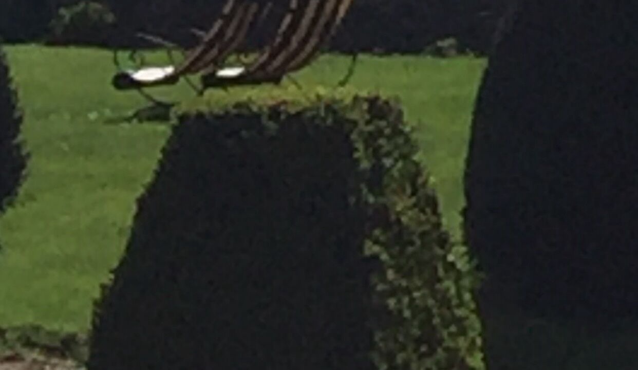 Photo of Outdoor in Saint-Pierre-la-Garenne