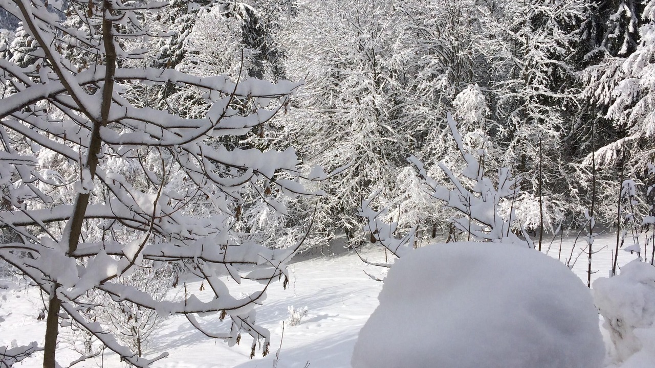Photo of Outdoor in Montriond