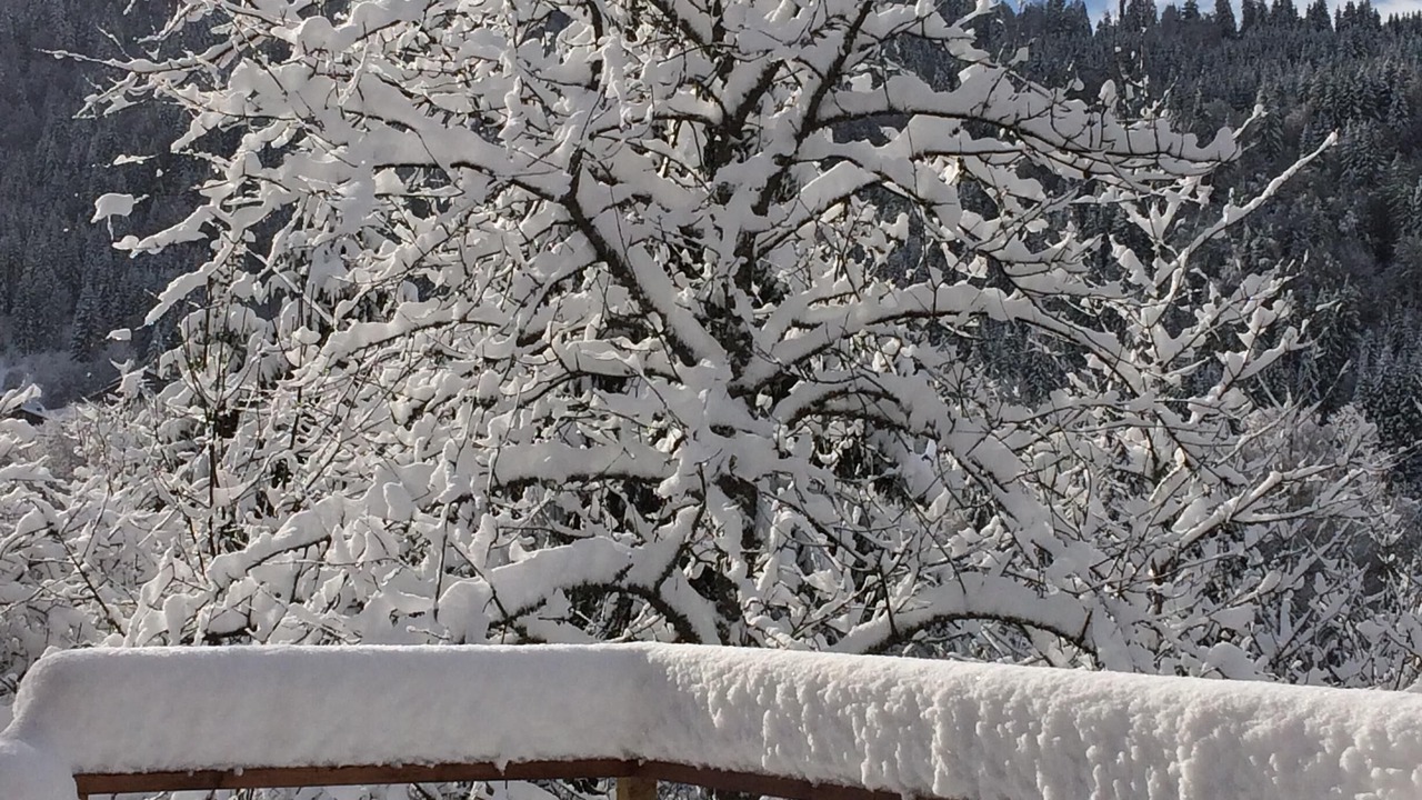 Photo of Outdoor in Montriond