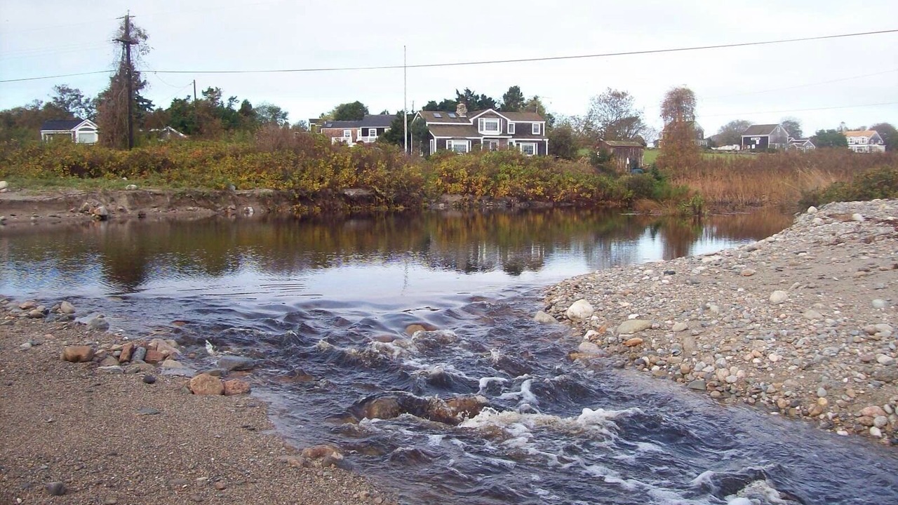 Photo of Others in Little Compton