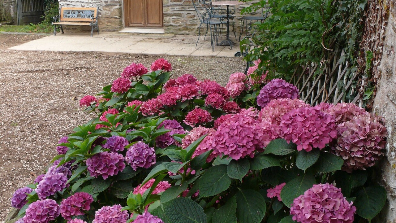 Photo of Outdoor in Comblessac