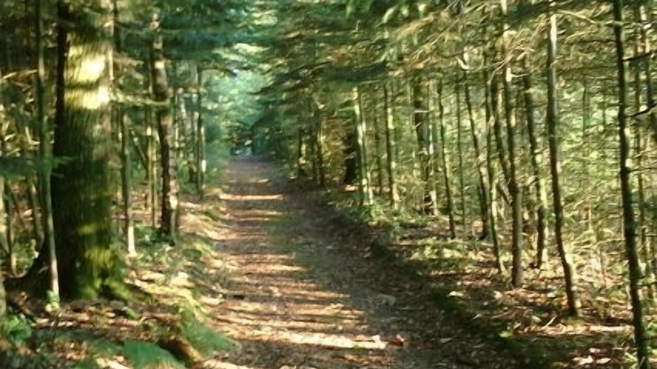 Photo of Others in Comblessac