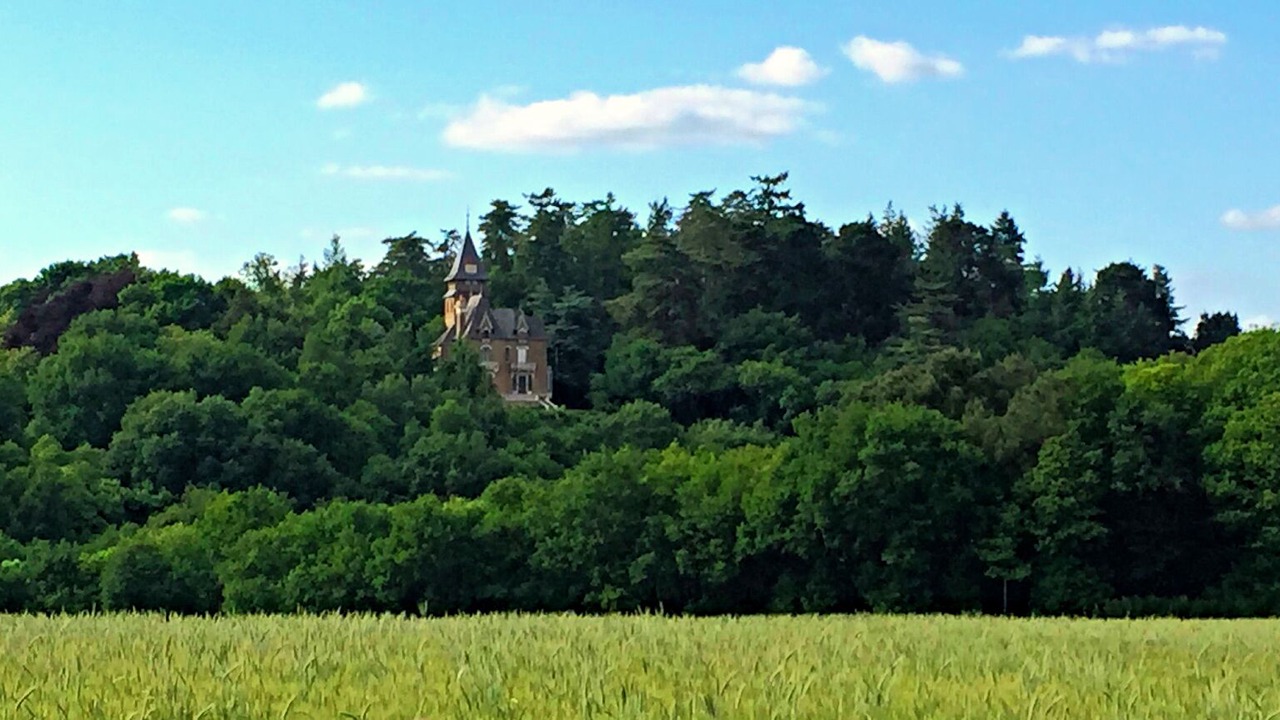 Photo of Outdoor in Comblessac