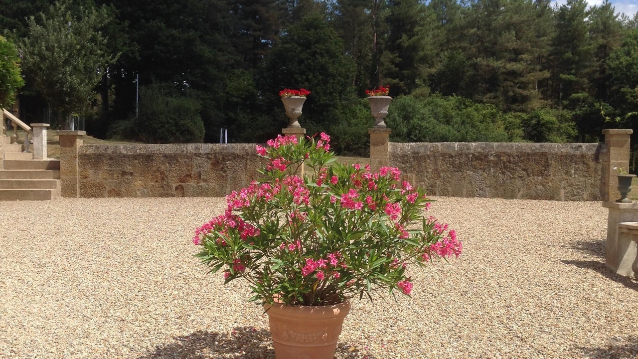 Photo of Outdoor in Meaulne-Vitray