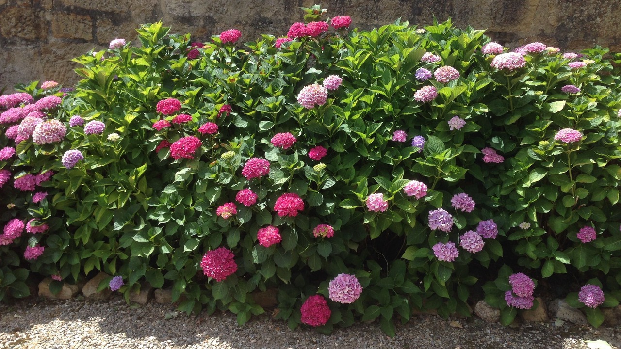 Photo of Outdoor in Meaulne-Vitray