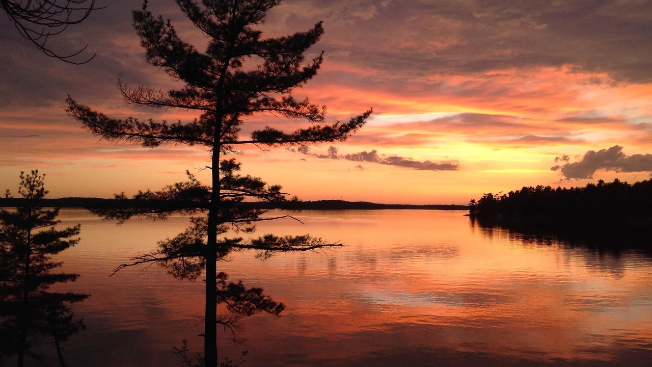 Photo of Others in Muskoka Lakes
