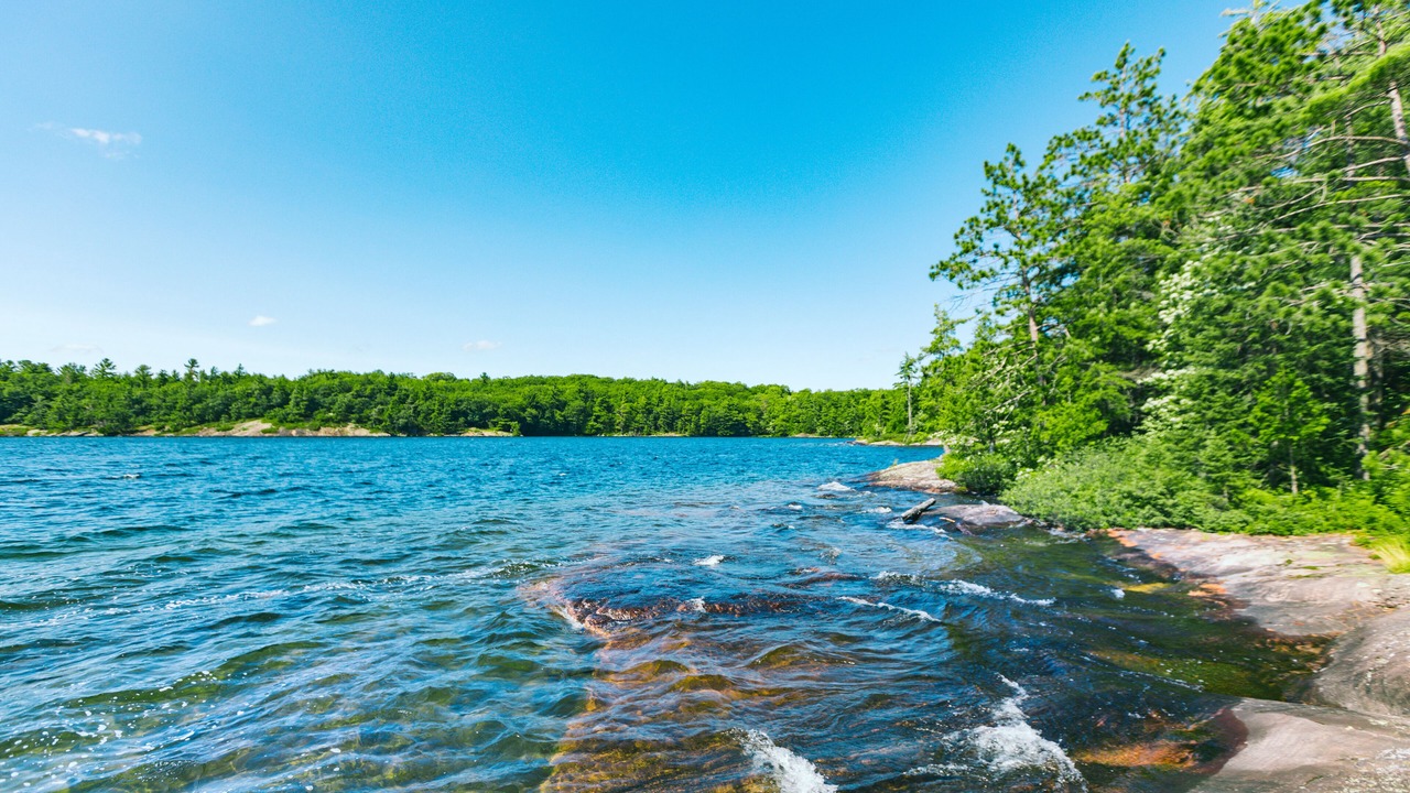 Photo of Others in Muskoka Lakes