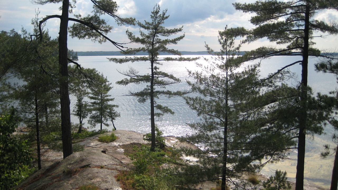 Photo of Outdoor in Muskoka Lakes