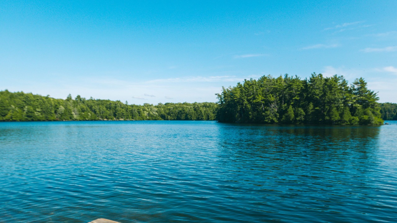 Photo of Others in Muskoka Lakes