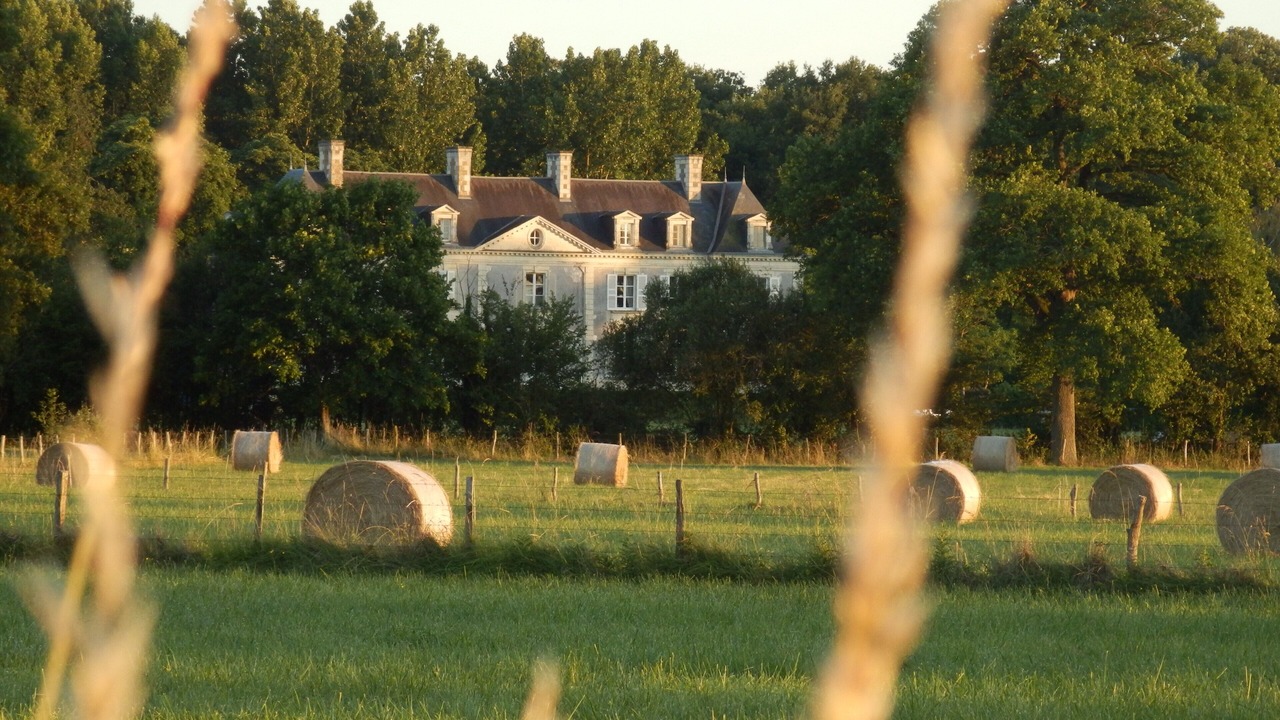 Photo of Others in Brion