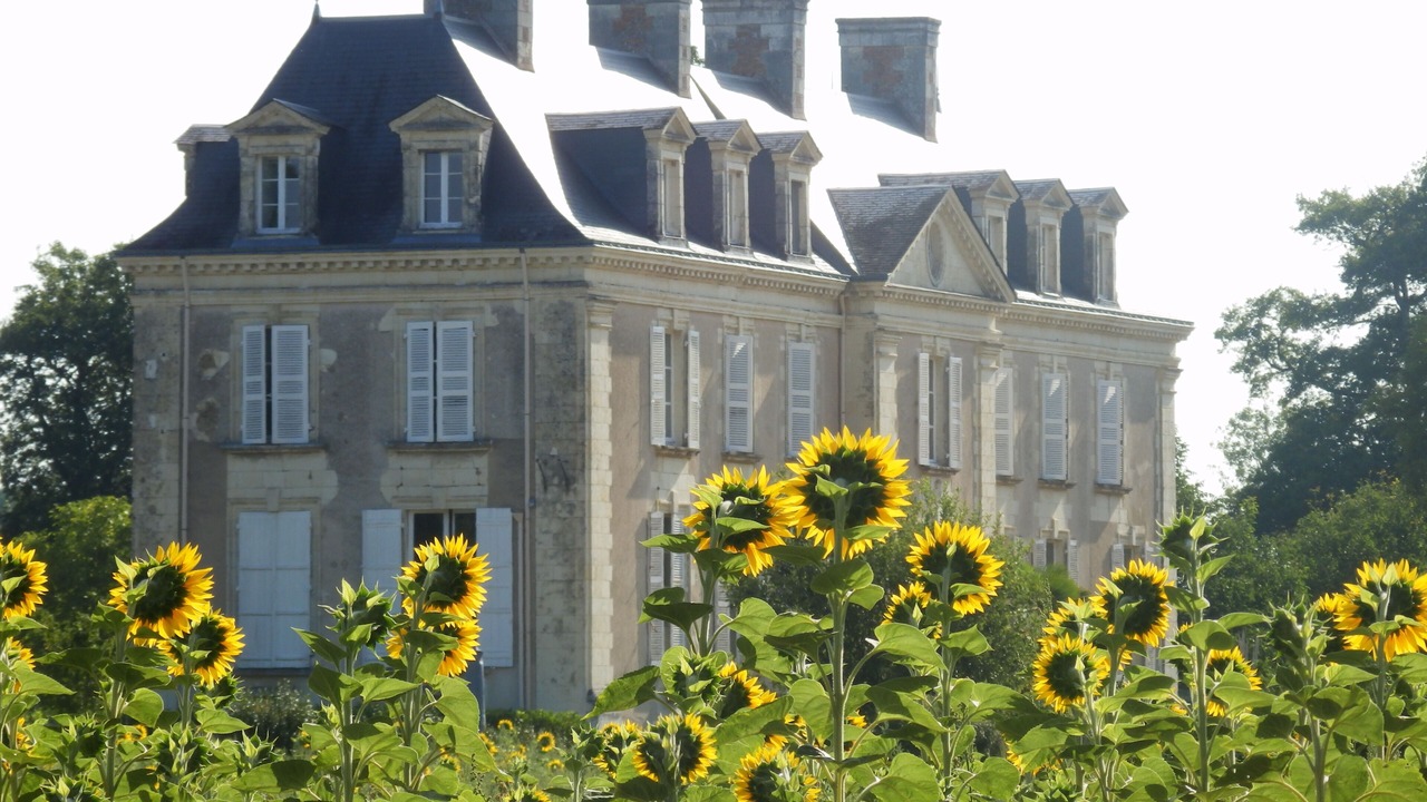 Photo of Others in Brion
