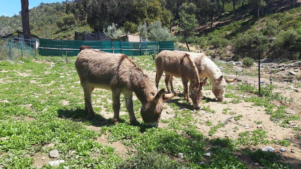 Photo of Outdoor in Sainte-Maxime