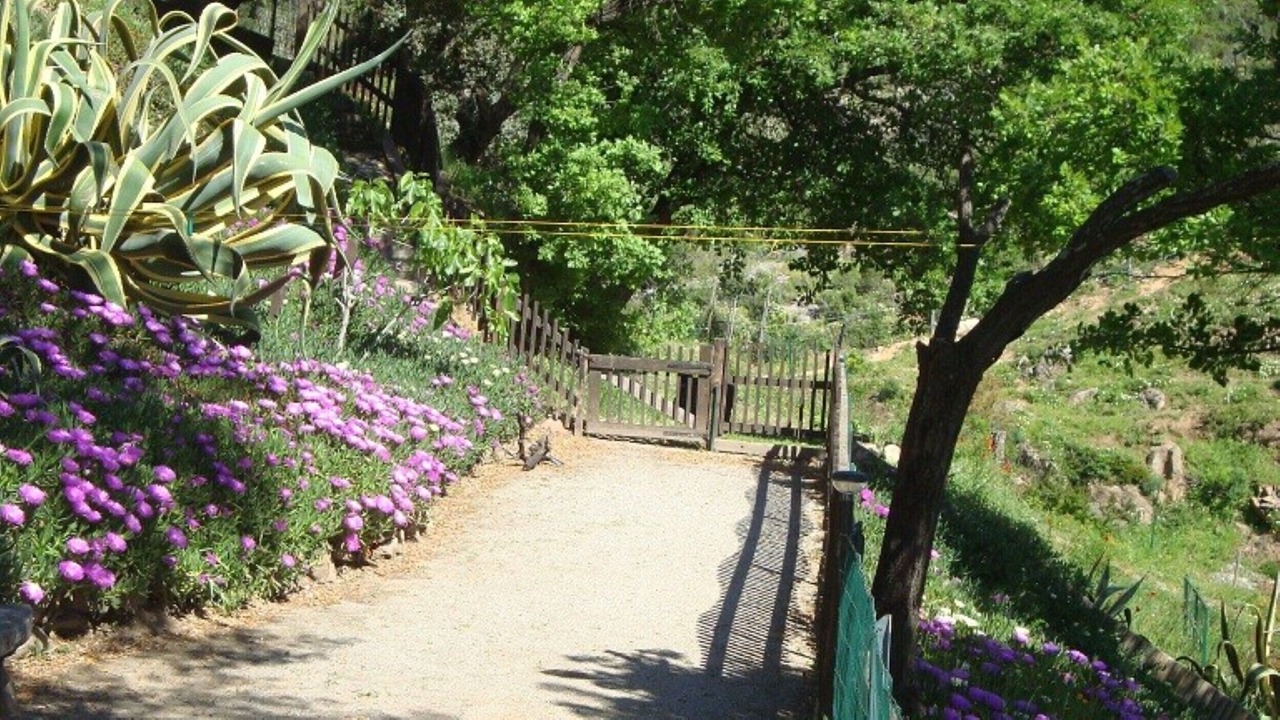 Photo of Outdoor in Sainte-Maxime