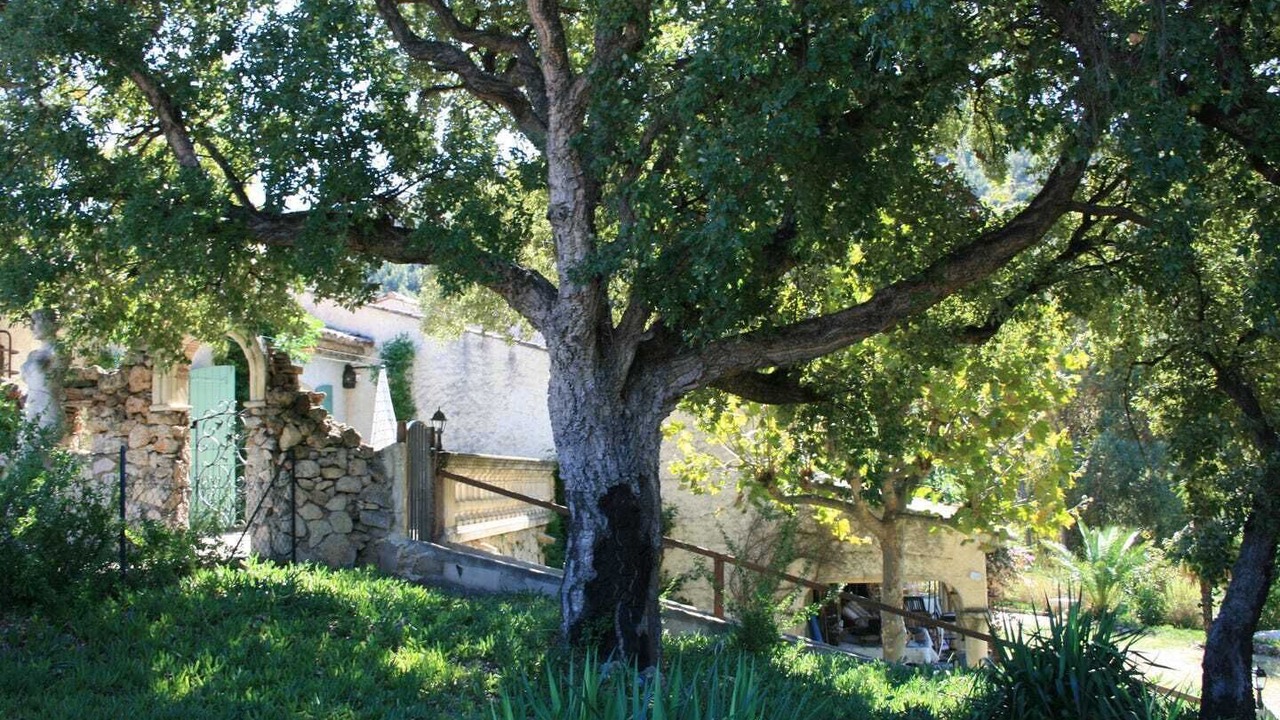 Photo of Outdoor in Sainte-Maxime