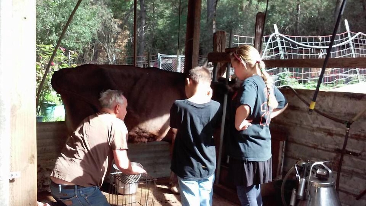 Photo of Others in Mountain Ranch