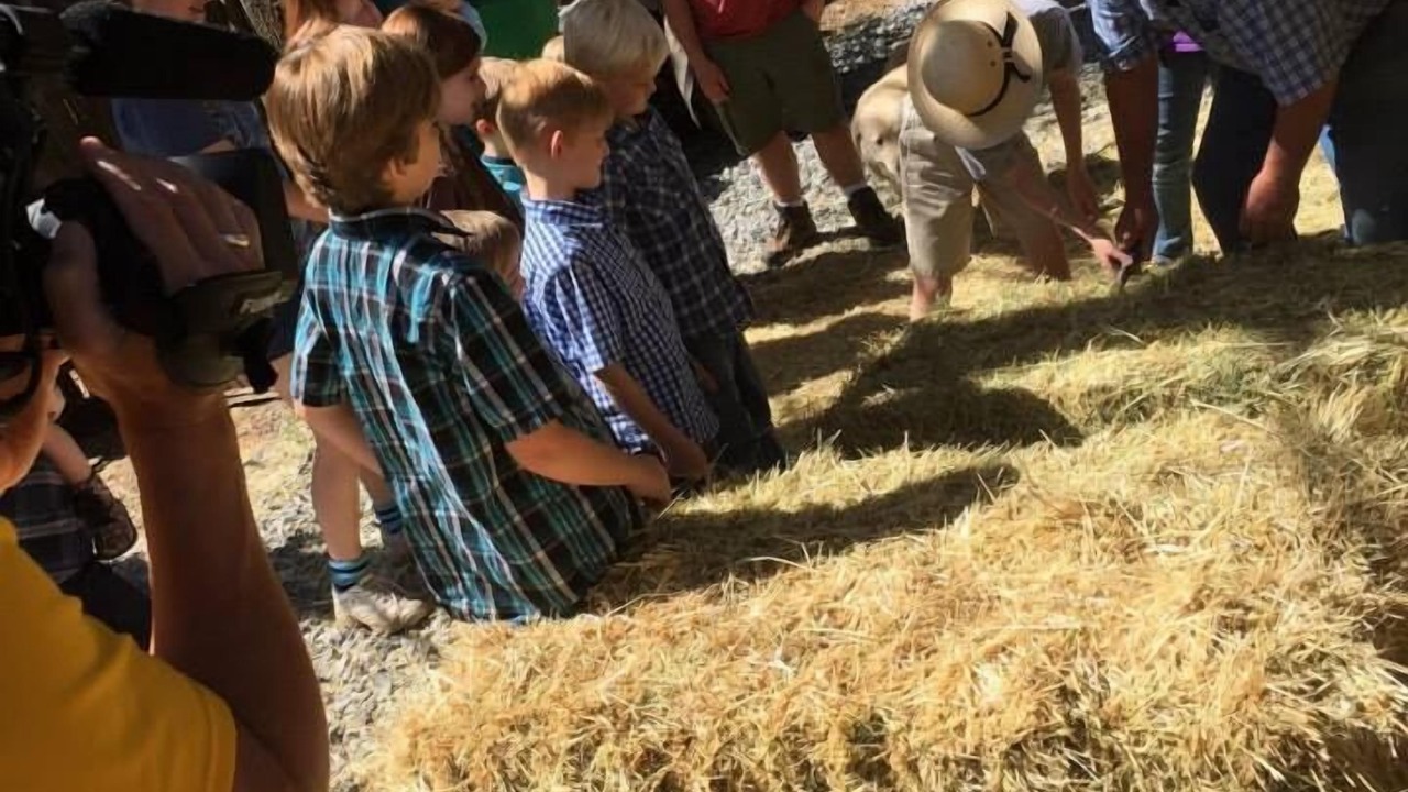 Photo of Others in Mountain Ranch