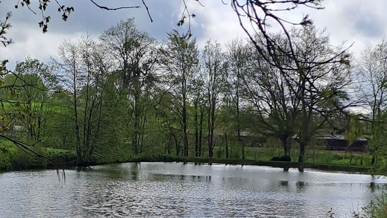 Photo of Others in Saint-Martin-de-Cenilly