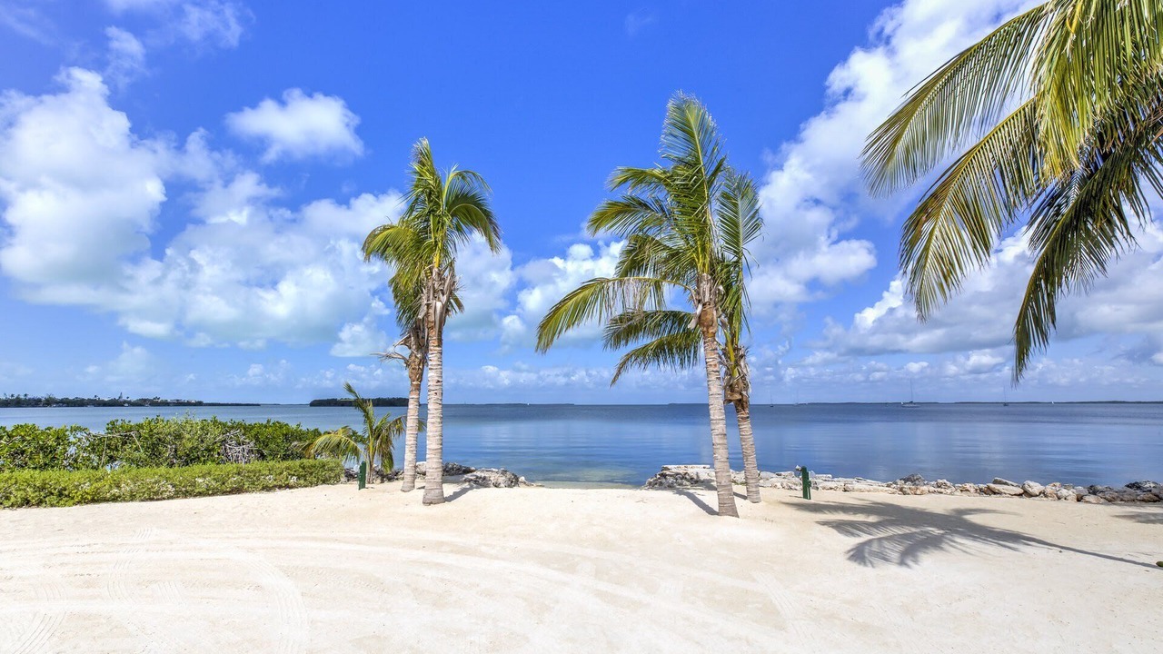 Photo of Others in Key Largo