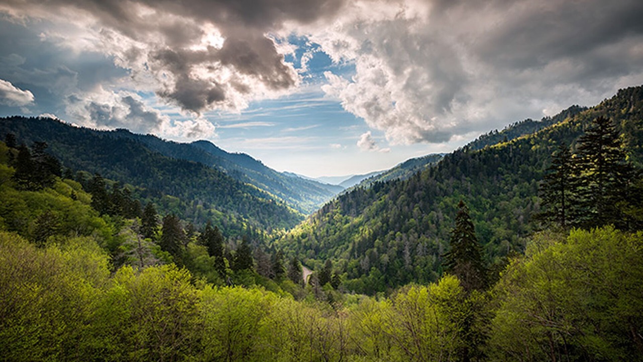 Photo of Others in Gatlinburg