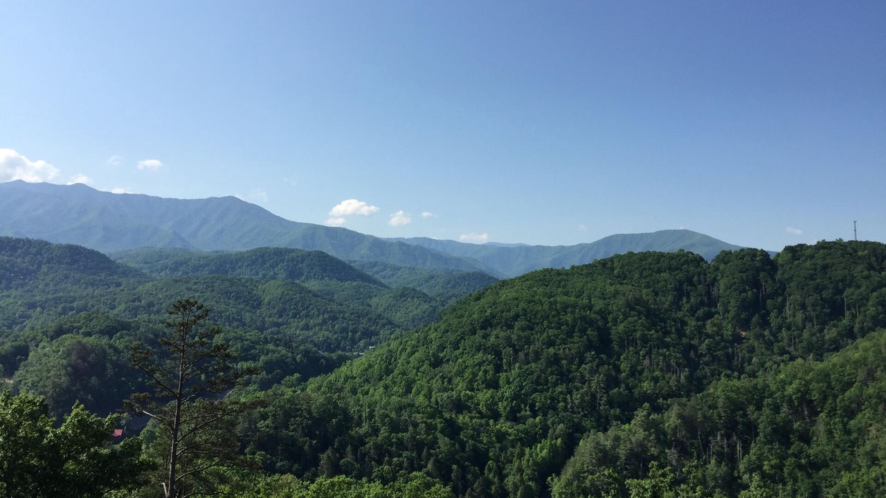 Photo of Others in Gatlinburg