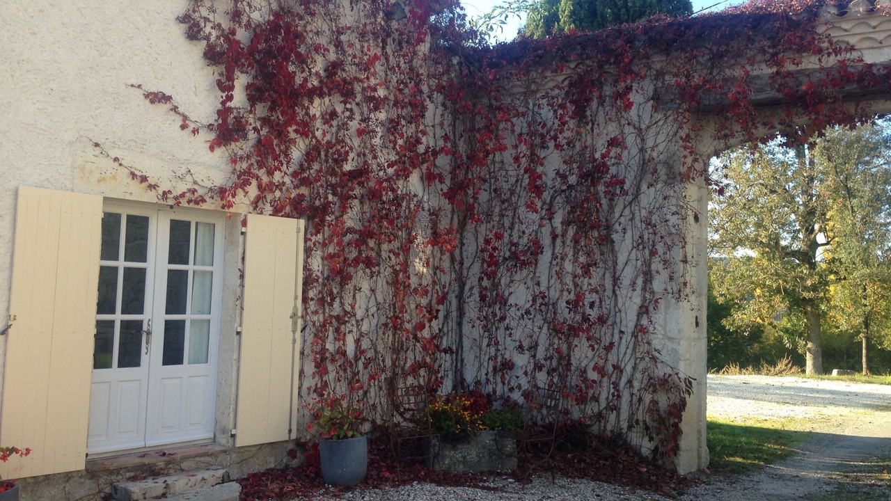 Photo of Outdoor in Roquecor