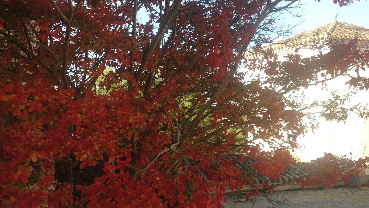 Photo of Outdoor in Roquecor