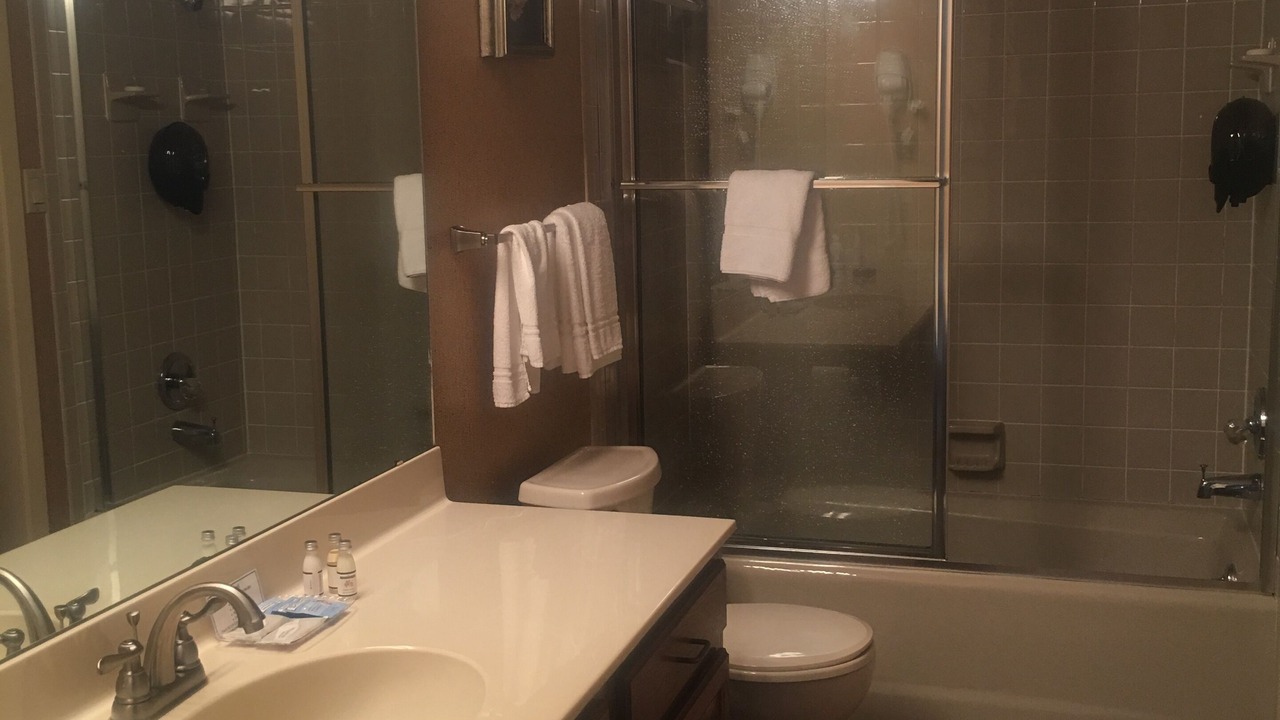 Photo of Bathroom in Lake Hamilton