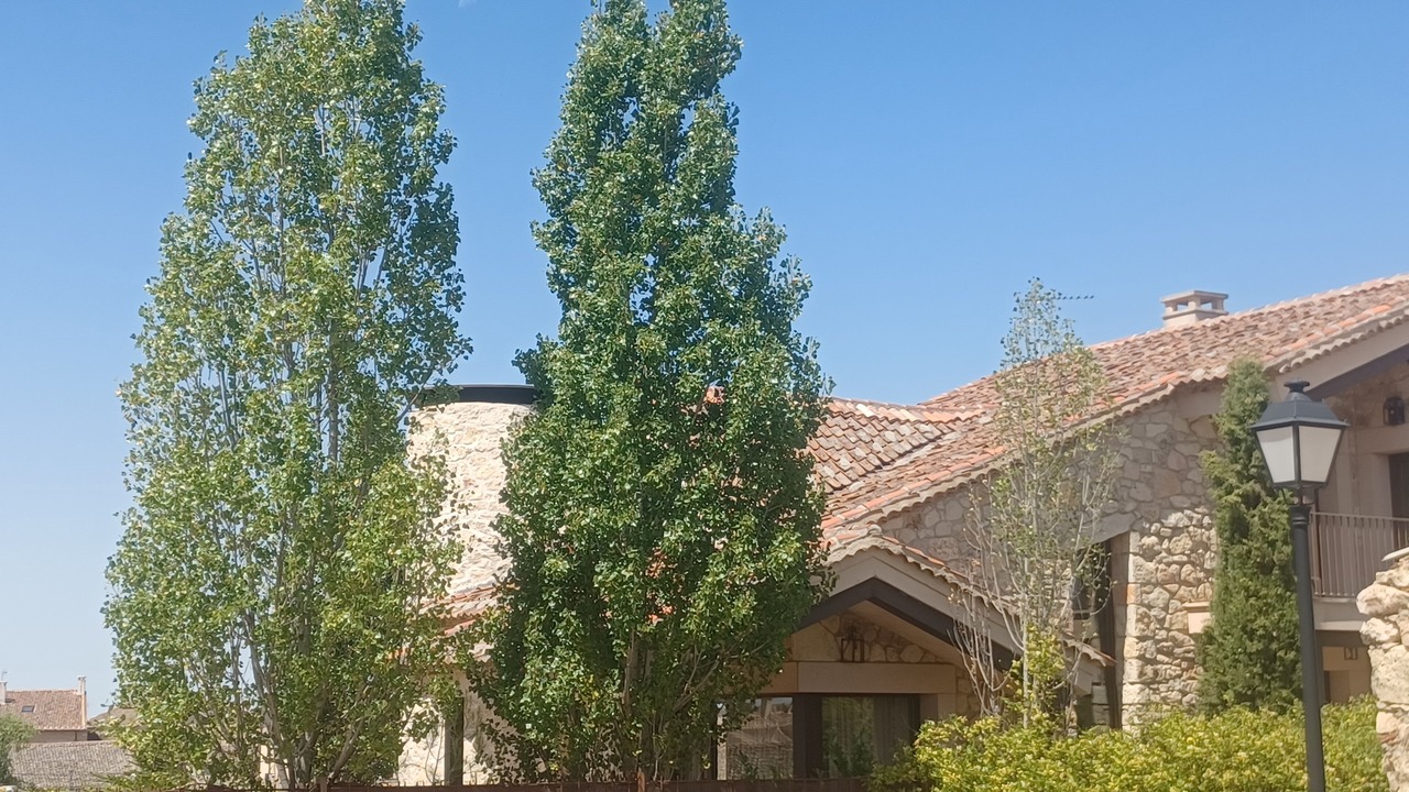 Photo of Outdoor in La Matilla