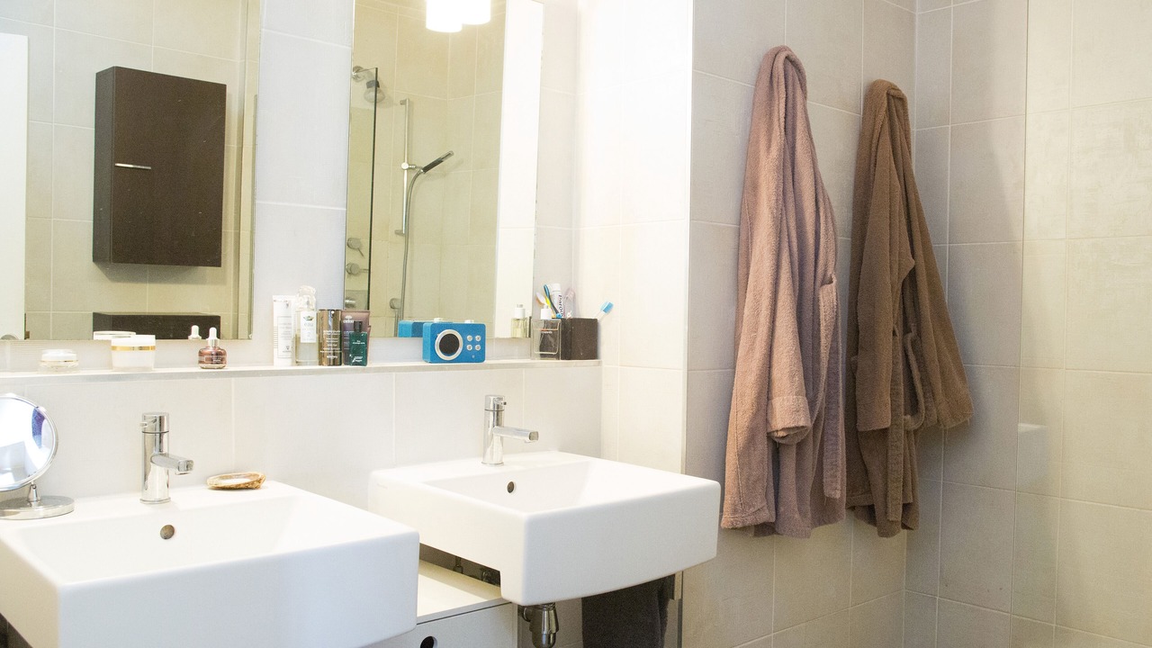 Photo of Bathroom in Purpan