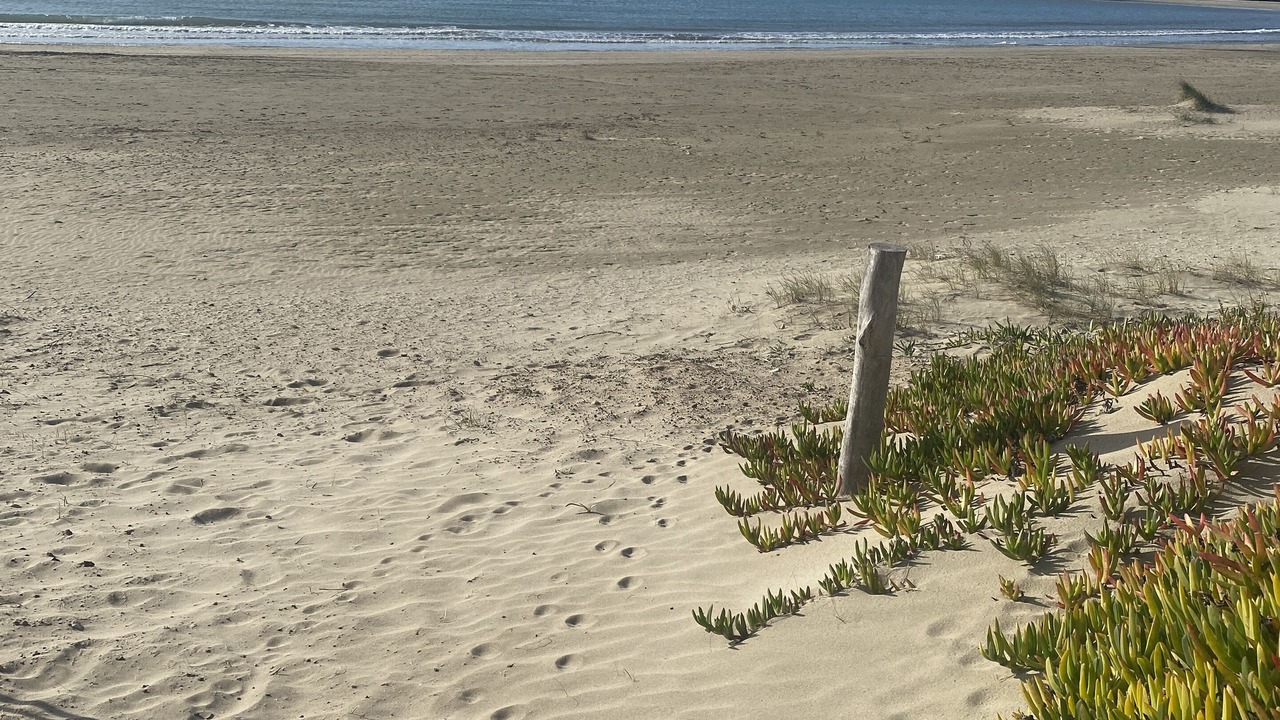 Photo of Others in Cap d'Agde