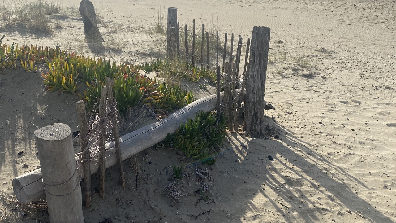 Photo of Others in Cap d'Agde