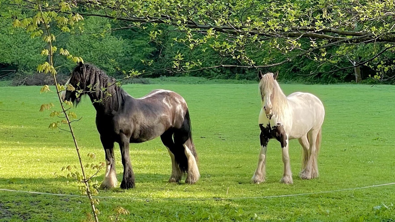 Photo of Others in Vireux-Wallerand