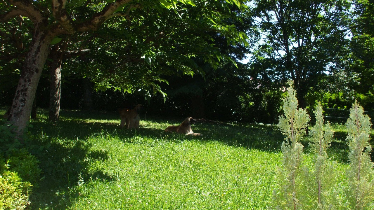 Photo of Outdoor in Aiguillon