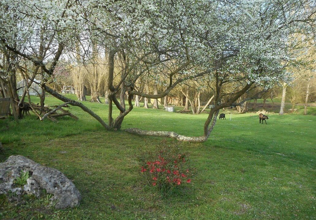 Photo of Outdoor in Savigne-sous-le-Lude