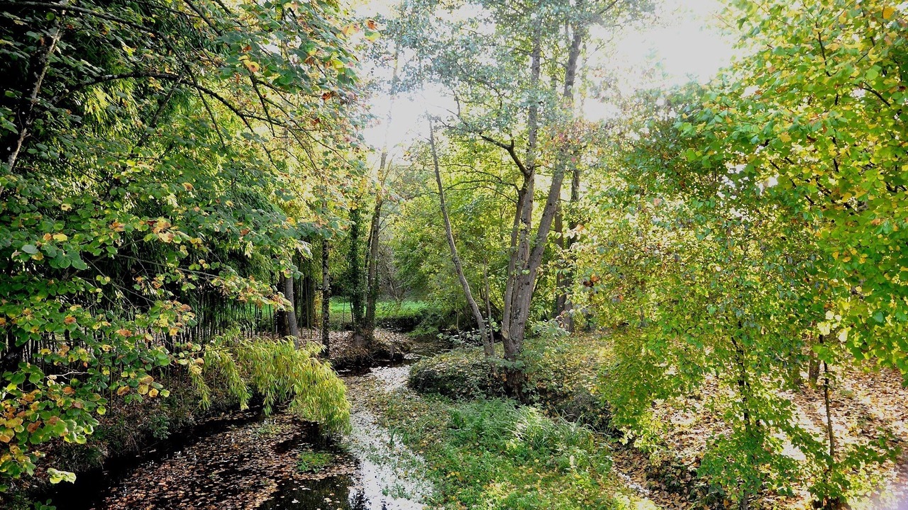 Photo of Outdoor in Savigne-sous-le-Lude