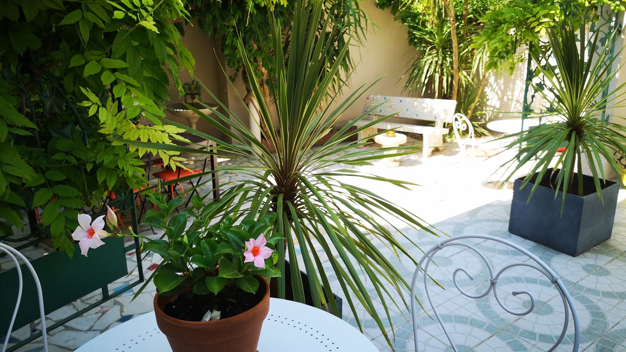 Photo of Outdoor in Alco