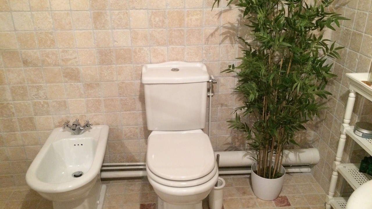 Photo of Bathroom in Gremonville