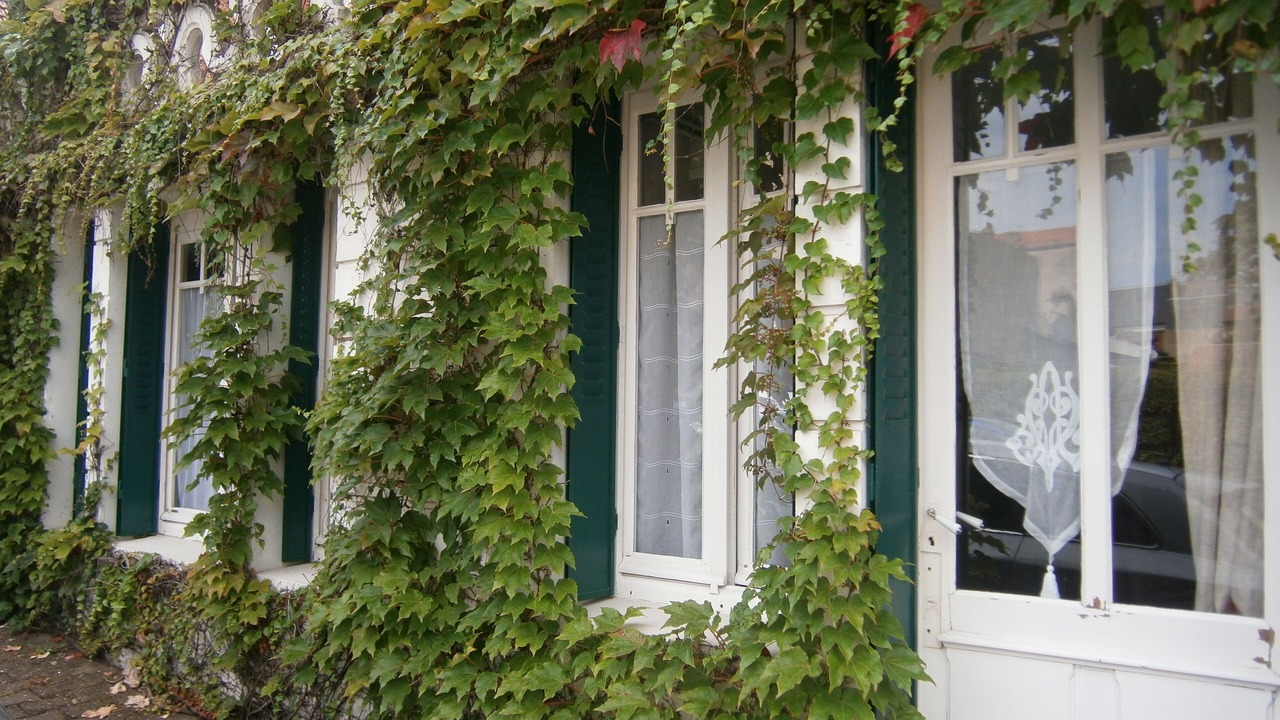 Photo of Outdoor in Neris-les-Bains
