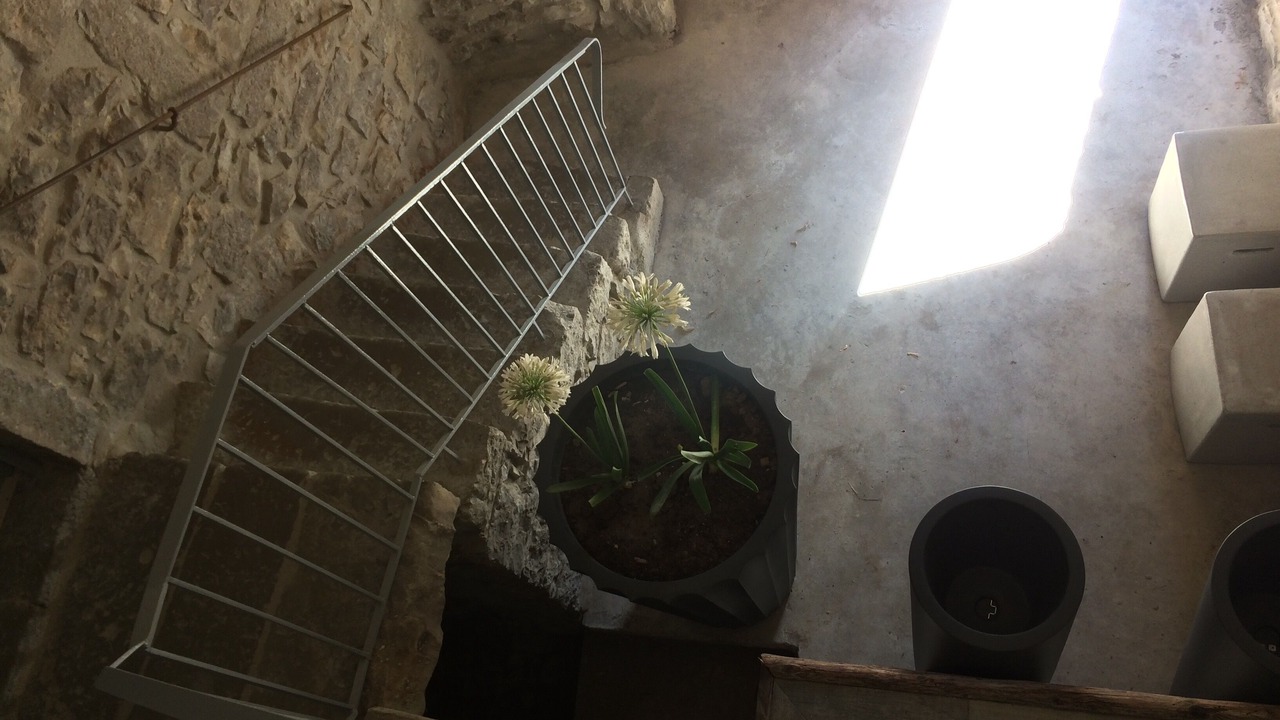 Photo of Others in Chandolas