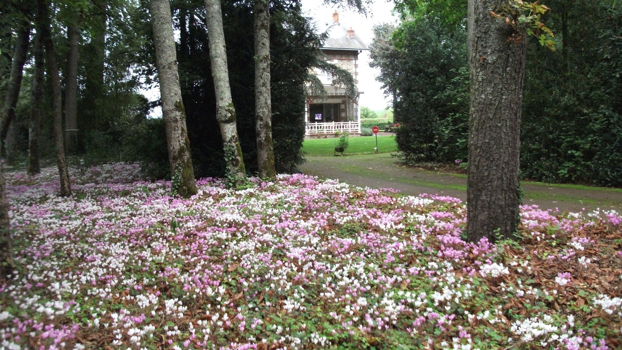 Photo of Outdoor in Montlouis-sur-Loire