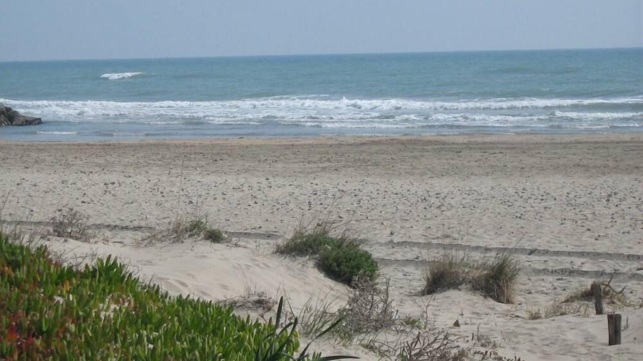 Photo of Others in Vic-la-Gardiole