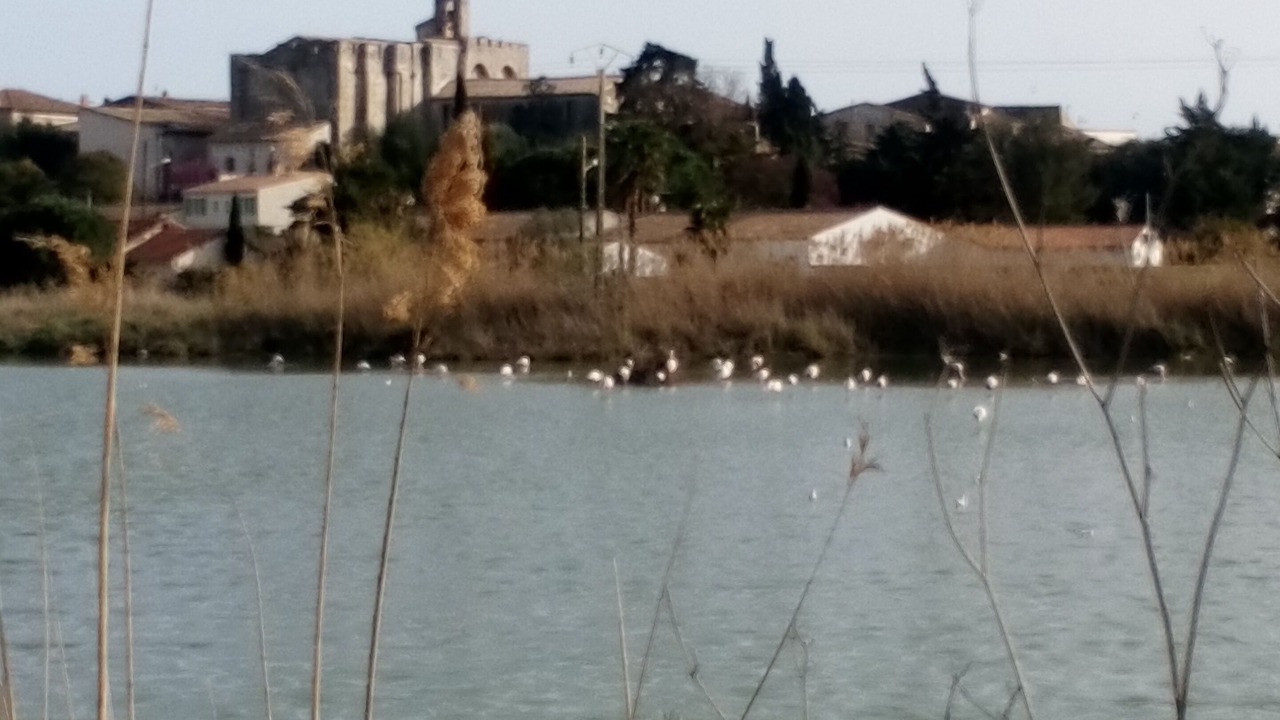 Photo of Others in Vic-la-Gardiole