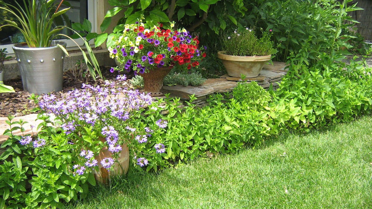 Photo of Outdoor in Vic-la-Gardiole