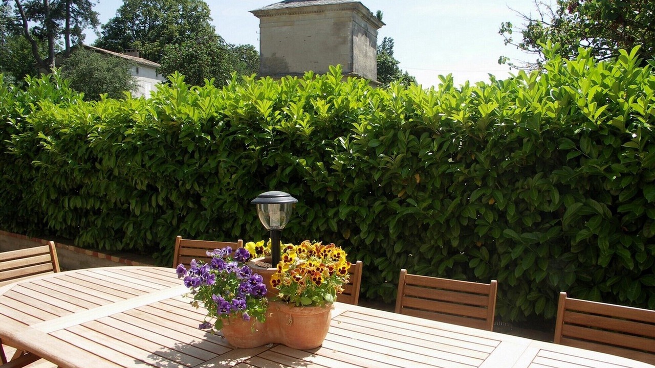 Photo of Outdoor in Labruguiere