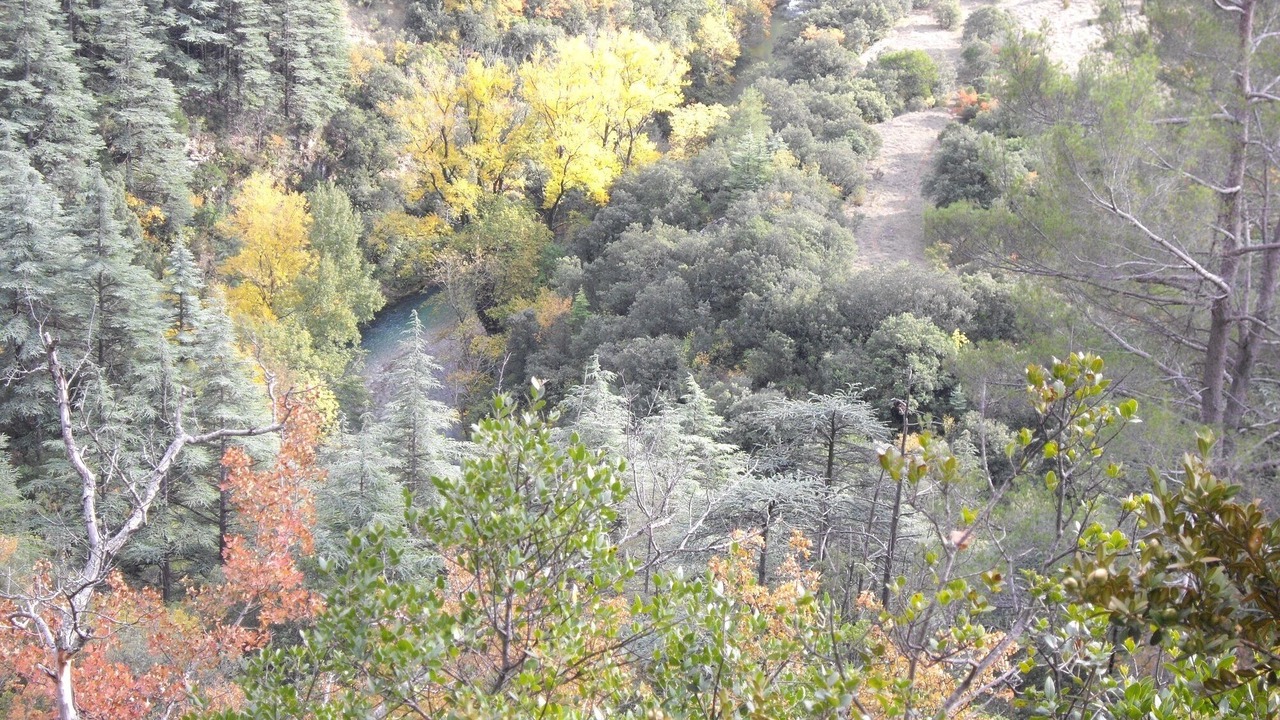 Photo of Outdoor in Alzon
