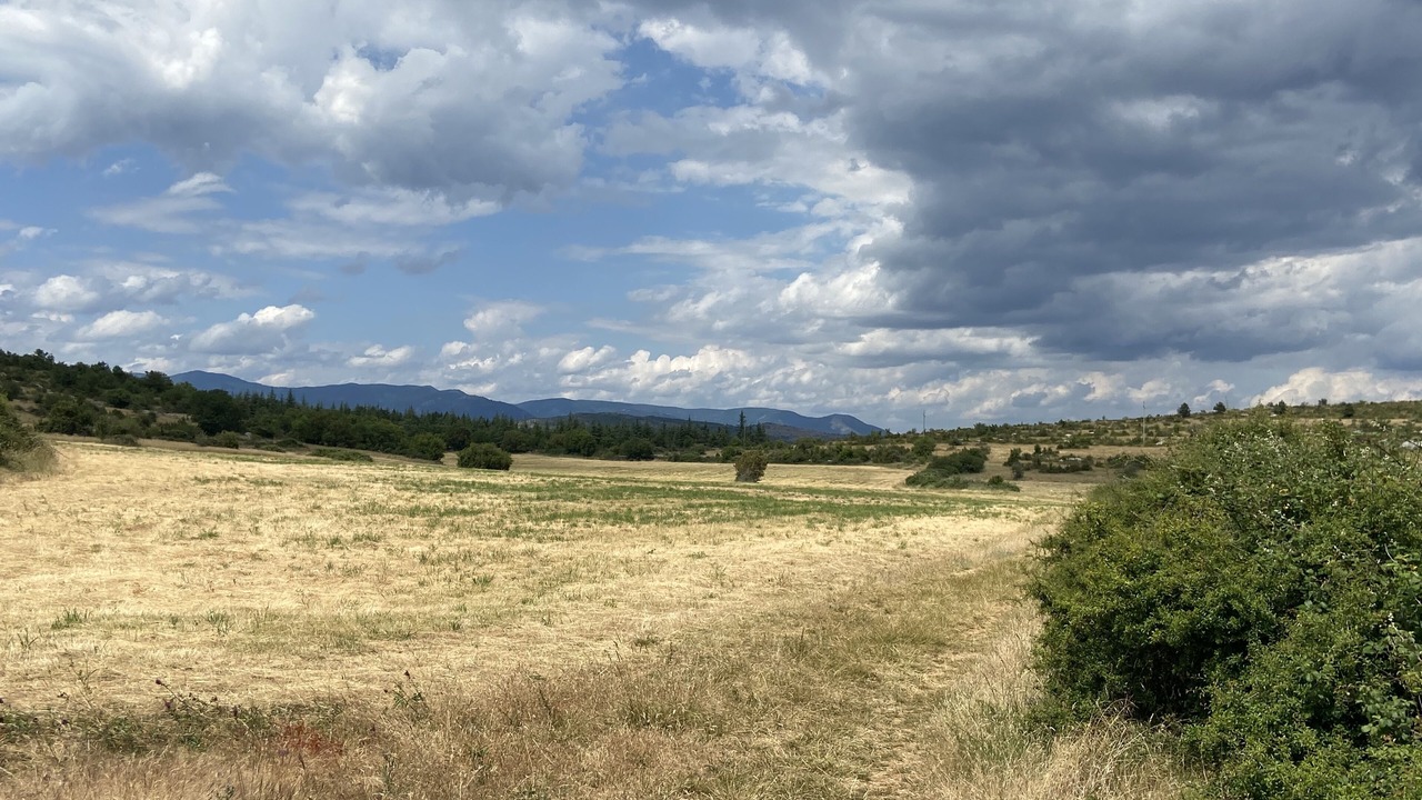 Photo of Others in Alzon